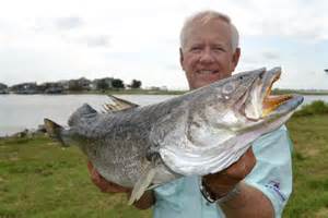 Expert Tips For Lake Pontchartrain Speckled Trout