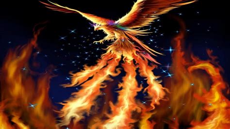 Fiery phoenix ancient strengthening technique wiki fandom. Phoenix Bird Wallpaper ·① WallpaperTag