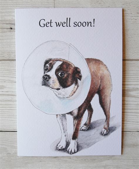 Dog Get Well Soon Card Get Well Soon Funny Get Well Soon Etsy