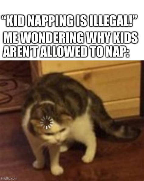 Bro Thats A Stupid Law Imgflip
