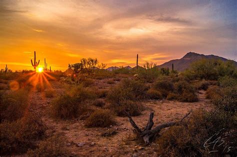 Desert Sunrisestunning Arizona Sunrise Desert Sunrise Sunrise