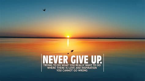 Never Give Up Quotes Wallpapers Top Những Hình Ảnh Đẹp