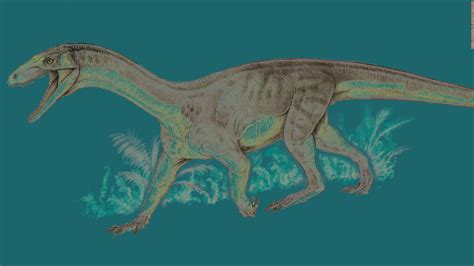 Scientists Are Excited About This Early Dinosaur Cousin With Croc Like Features Cnn