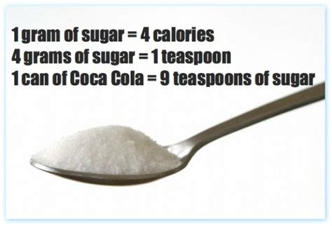 Gram for gram, carbohydrate contains fewer calories than fat. How Much Sugar Should We Be Eating: A Look at Children and Adult Sugar Consumption