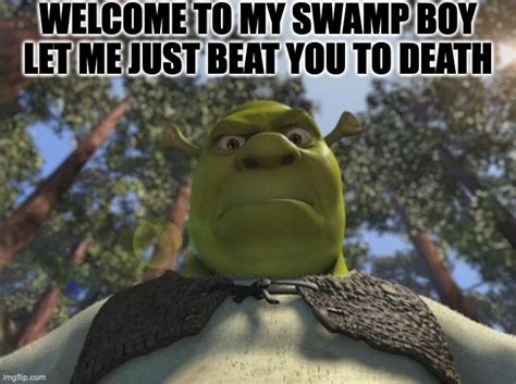 Shrek Angry Imgflip