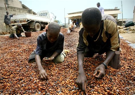 Come Gli Schiavi Bambini Dei Campi Di Cacao Hanno Portato In Tribunale