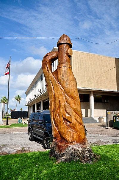 dead tree sculptures in galveston island cool damn pictures