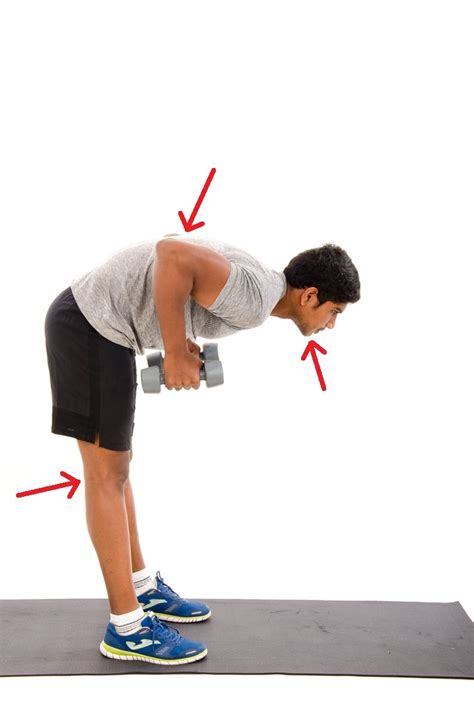 Bend Over Row With Dumbbells Vissco Healthcare Private Limited