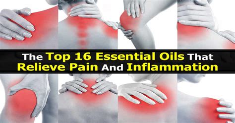 Top 16 Essential Oils For Inflammation You Can Use At Home