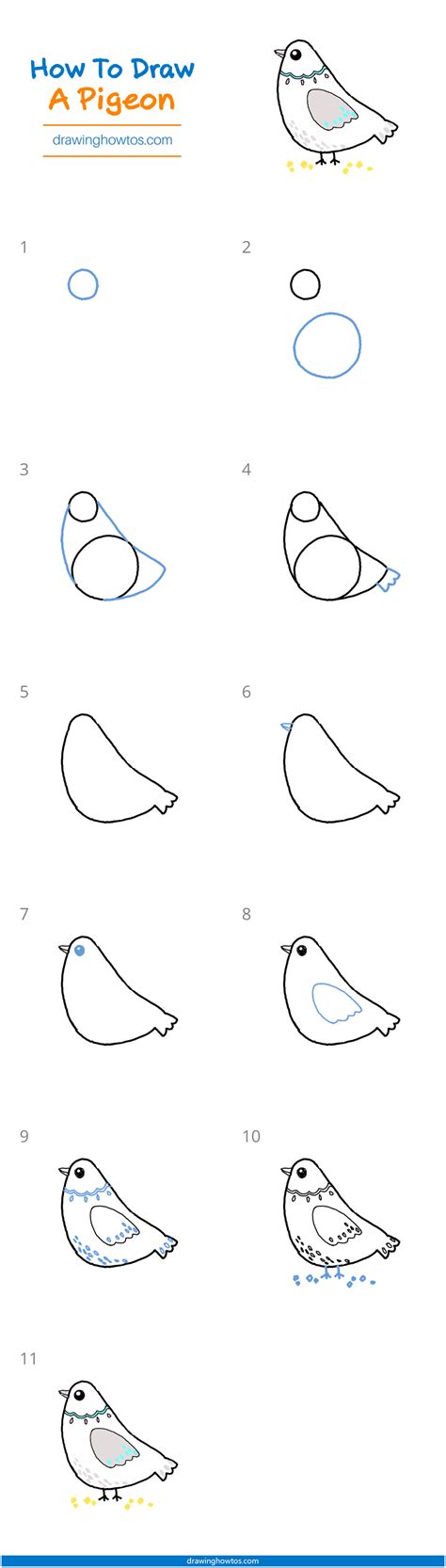 How To Draw A Pigeon Step By Step Easy Drawing Guides Drawing Howtos
