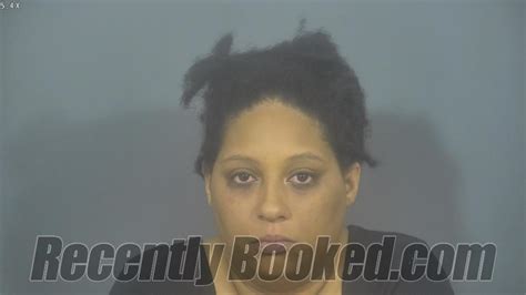 Recent Booking Mugshot For Ashley Marie Wilson In St Joseph County