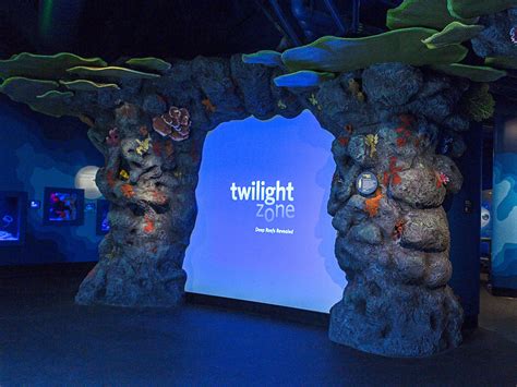 Unraveling the Mystery of the Ocean's Twilight Zone | WIRED