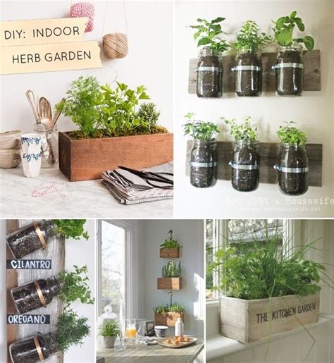 Cute Ideas For Diy Kitchen Herb Gardens With Images Herb Garden In Kitchen Indoor Herb