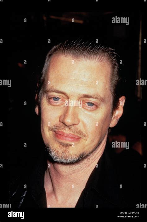 Steve Buscemi Portrait Stock Photo Alamy