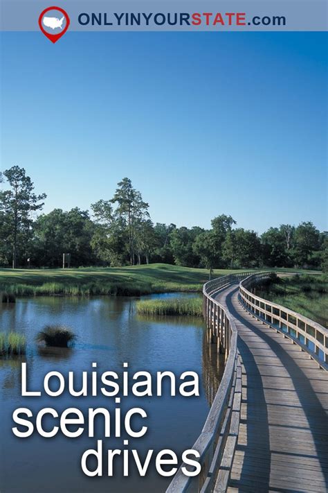 Take These 9 Country Roads In Louisiana For An Unforgettable Scenic