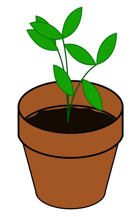 Free A Plant Cliparts Download Free A Plant Cliparts Png Images Free