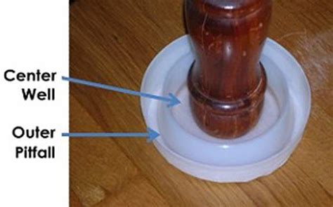 Active traps and passive traps. Bed Bug Interceptor-How it works, DIY & Reviews | Pestbugs