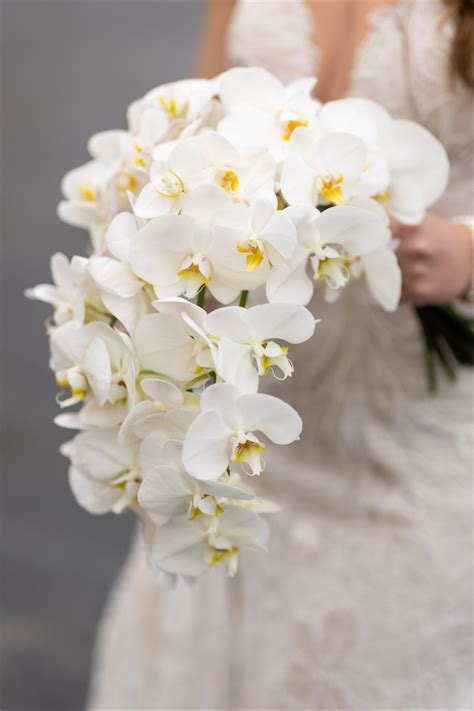 Cascading White Phalaenopsis Orchid Bouquet Pc Avi Fox Photography In