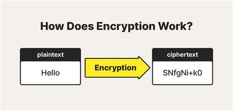 What Is Encryption How It Works Types Of Encryption Norton