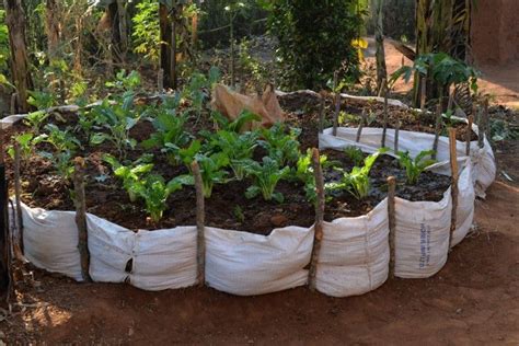 Into Africa Learning How To Make Keyhole Gardens In Rwanda In 2024 Keyhole Garden Backyard