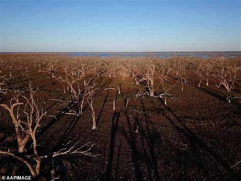 The Nature Conservancy Spends 55million Purchasing Murray Darling Basin Land Daily Mail Online