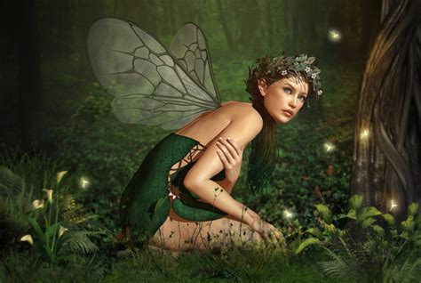 Forest Fairy Fond D Cran Hd Arri Re Plan X Id Wallpaper Abyss