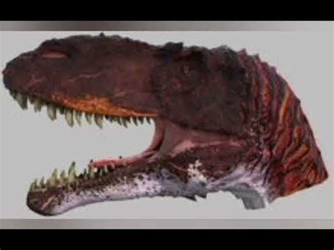 Torvosaurus Vs Saurophaganax YouTube