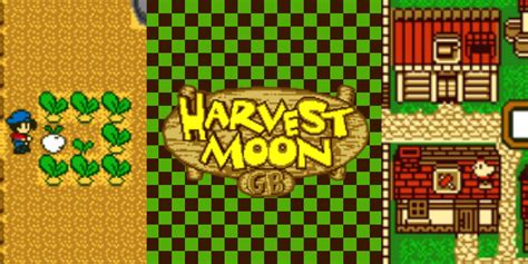 Harvest Moon Gbc Game Boy Color Jeux Nintendo