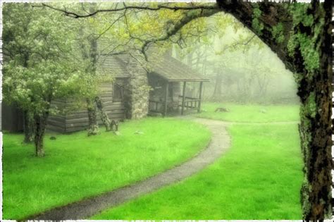 Its Springtime In The Blue Ridge Mountains Photography Improvement