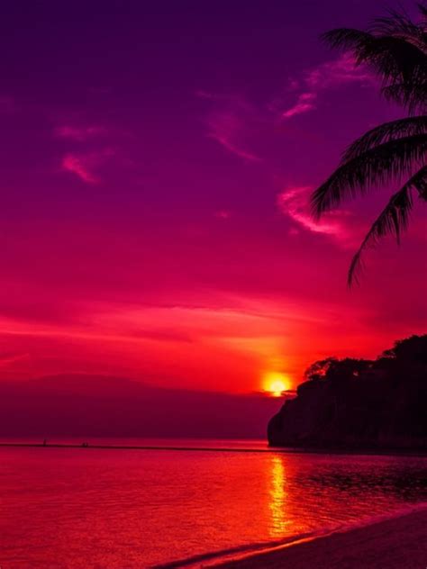 Red Sunset Wallpaper Background Hd Wallpaper Background