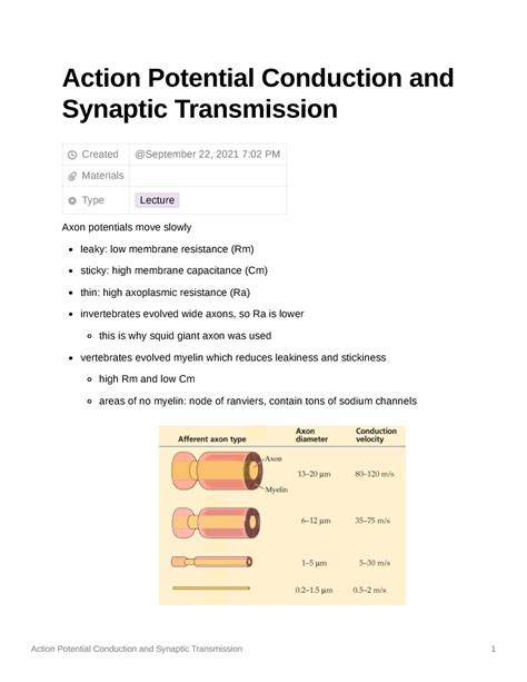 Action Potential Conduction And Synaptic Transmission Action