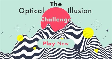 The Optical Illusion Challenge