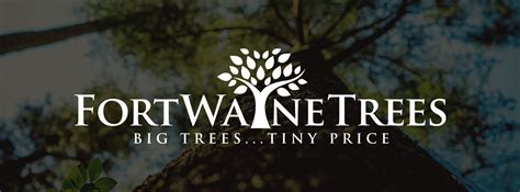 Arborvitae Fort Wayne Trees