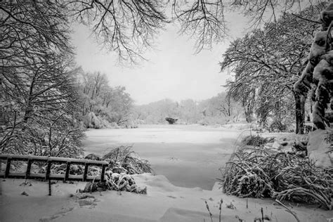 Stunning Black And White Winter Scene Artwork For Sale On Fine Art Prints