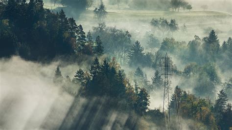 Download Wallpaper 1920x1080 Fog Trees Top View Forest Bled Slovenia Full Hd Hdtv Fhd