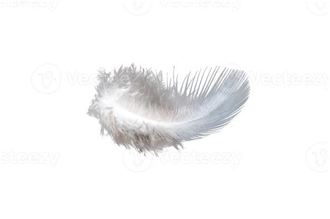 White Feather Isolated On Transparent Background Png File 18726897 Png
