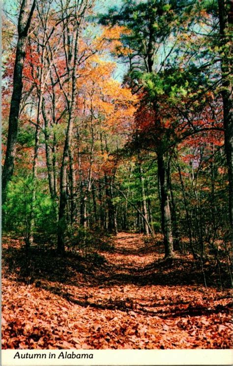 Vintage Postcard Pelham Alabama Oak Mountain State Park Fall Scene