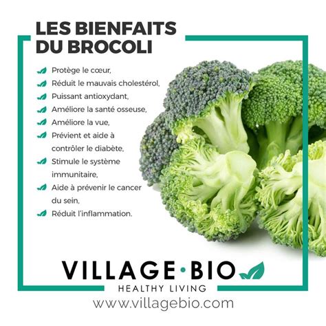 Les Bienfaits Du Brocoli