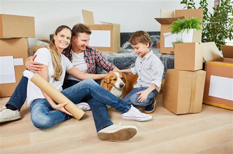 Tips And Advice On Moving Home With Pets