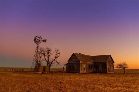 Real Life Courage The Cowardly Dog House Pics