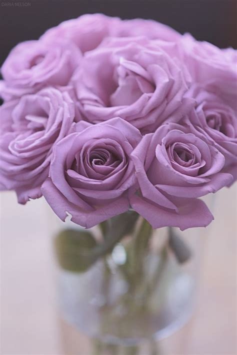 Lilac Roses Pretty Purple Stuff Pinterest Lilacs And Rose