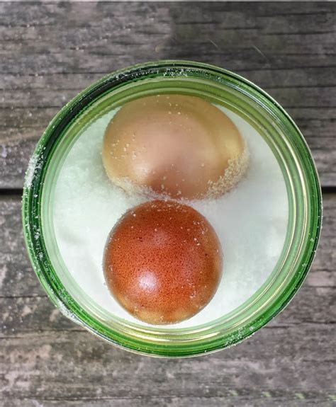 Preserving Eggs In Salt Fresh Eggs Daily With Lisa Steele