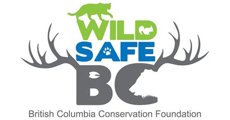 Coyote Bear Safety Outdoor Education Recreation
