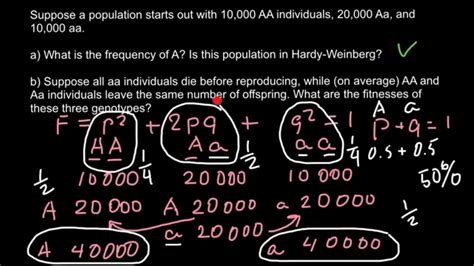 Follow up with other practice problems using human hardy weinberg problem set. How to solve Hardy-Weinberg problems - YouTube