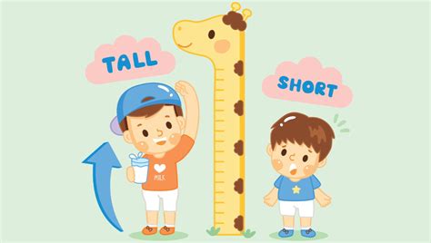How Tall Will I Be Height Test February 2024