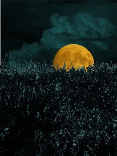 Moonrise Moonrise With Gimps Help Reser Flickr