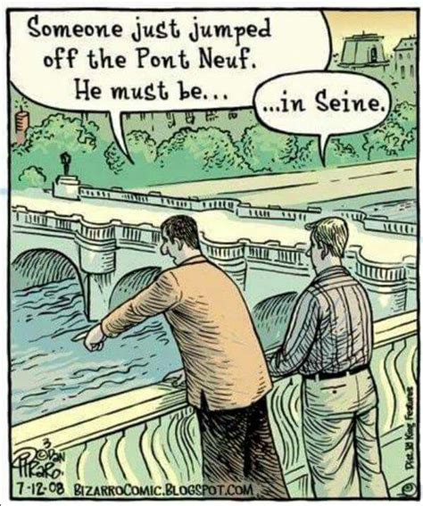 In Seine Memes Funny French French Puns