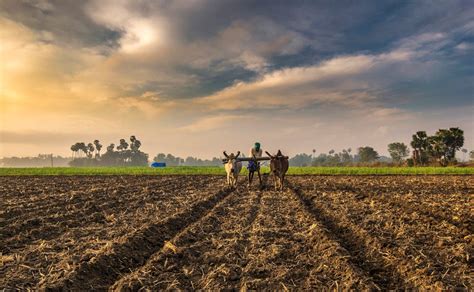 Reinvention Of Agriculture In India During The Time Of Covid 19