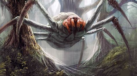 Pin By Glenn Wallace On Rpg Creatures Pictures Giant Spider Spider