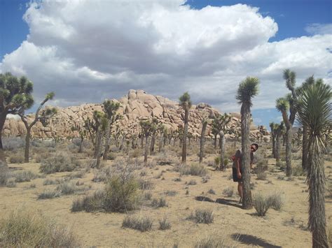 Hidden Valley Joshua Tree Np Ca — Backcountrycow Backpacking And